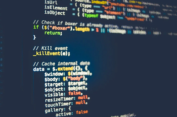 software development/website development/mobile app development